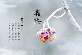 霜降