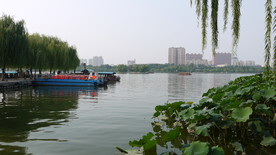 明湖   公园   泉城