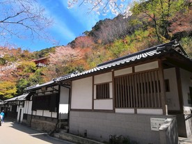 日本清水寺