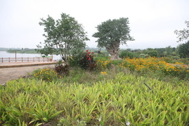 自然风光风景