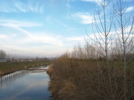 家乡的小河
