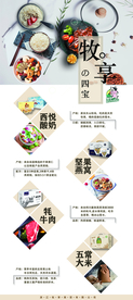 四宝