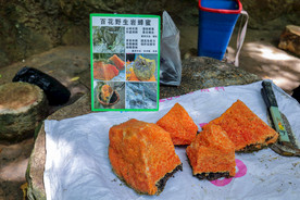 百花野生岩蜂蜜