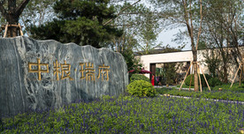 景观意向图