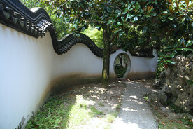 龙游