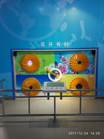 花开有时