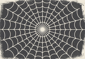 蜘蛛网