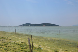 太湖春色