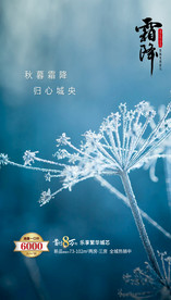 霜降微信