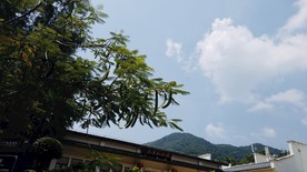 南山寺