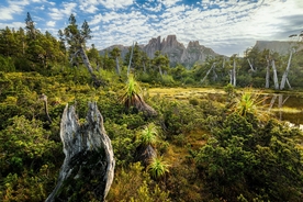 高山森林风景天空云彩