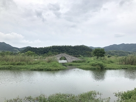 高山森林风景天空云彩