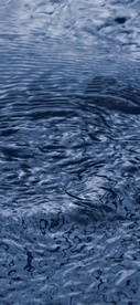 水波纹