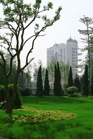 社区小区景观环境摄影素材图