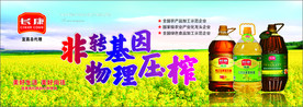 长康