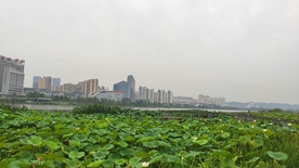 遂宁观音湖圣莲岛图片