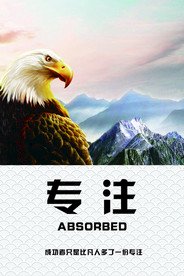 企业文化墙板 专注
