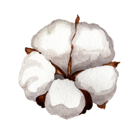 水彩植物花朵绿叶