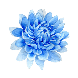 水彩植物花朵绿叶