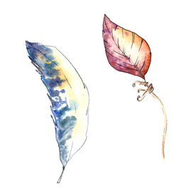 水彩植物花朵绿叶