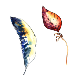 水彩植物花朵绿叶