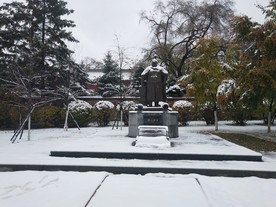 将军