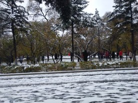 雪天