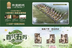 仵龙时代