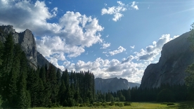 山林与草地