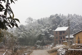 农村冬天的雪景