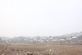 冬天的乡村田野