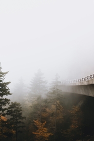 山林与公路