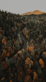 山林与公路