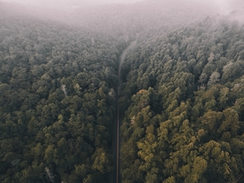 山林与公路