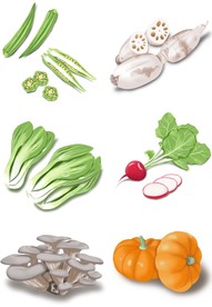 手绘绿色蔬菜青菜萝卜