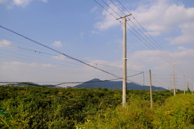电线杆