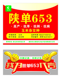 异性牌