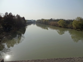 西溪湿地  实景拍摄 西溪