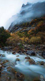山中