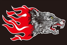 动物图标系列 火焰狼头头像