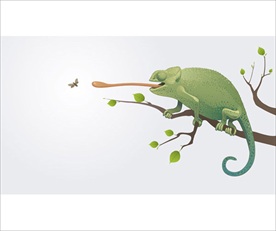 野生动物系列  蜥蜴 矢量图