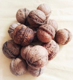核桃 坚果 干果 补脑