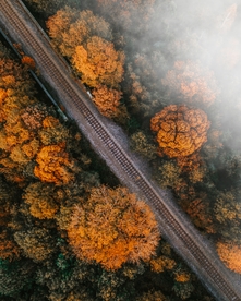 山林与公路