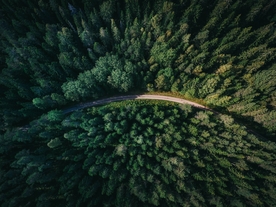 山林与公路