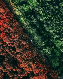 山林与公路
