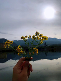 夕阳下的风景