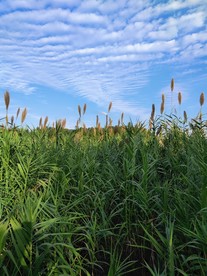 自然风光风景