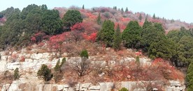 红叶谷