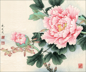 国画 牡丹