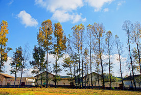 云南 风景 香格里拉 摄影 自